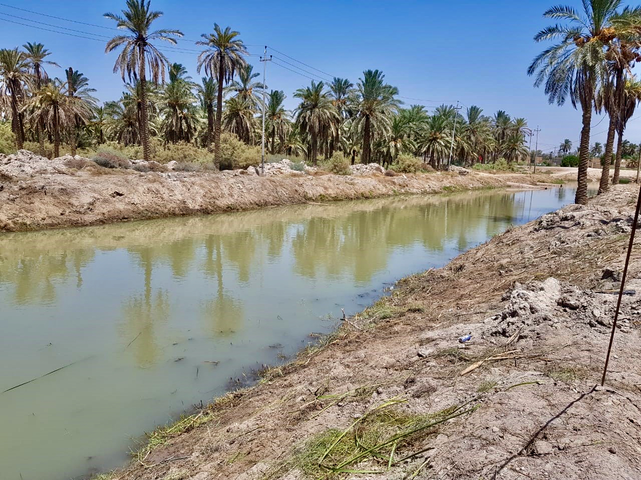 ترميم قناة الري في ذي قار ، التي ساعد المشاركون في مشاريع بناء القدرة على الصمود التي ينفذها برنامج الأغذية العالمي على تنظيفها وإعادة تأهيلها ، لإعادة المياه إلى المجتمع. صورة: برنامج الأغذية العالمي