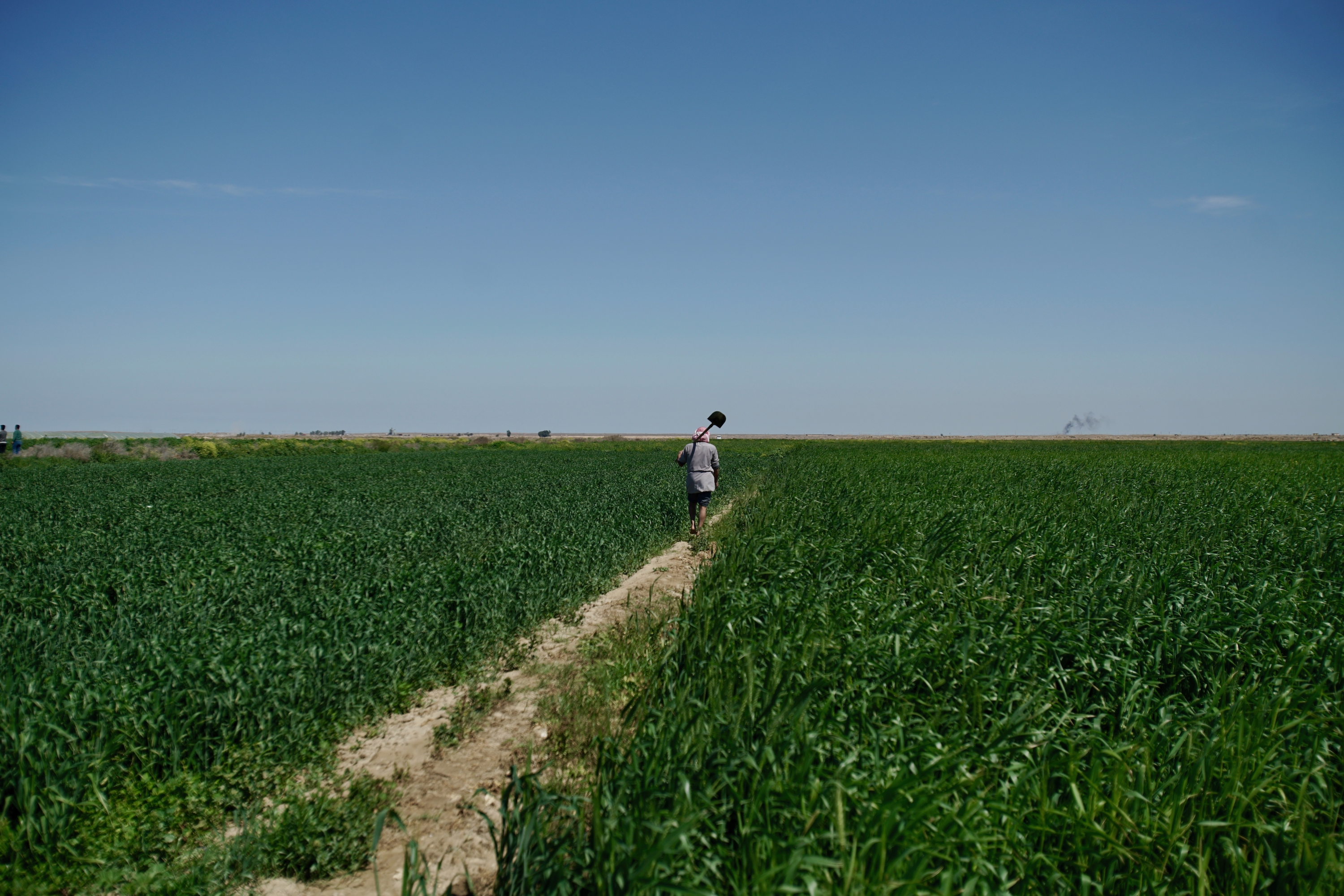 تساعد مشاريع برنامج الأغذية العالمي لبناء القدرة على الصمود في العراق على إعادة المياه إلى المجتمعات المحلية في مواجهة تغير المناخ. يستطيع المزارعون استئناف الزراعة وإطعام عائلاتهم وبيع الفائض. صورة: برنامج الأغذية العالمي/أسامة محمد وجيه