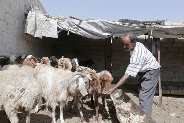 الطقس غير المستقر والنزاع الذي طال أمده يلحقان الضرر بالإنتاج الزراعي في سوريا