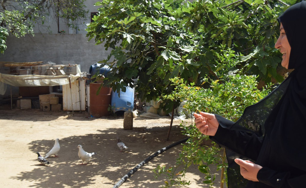 عزة تنظر بفخر إلى الحمام في فناء منزلها الخلفي. صورة: برنامج الأغذية العالمي/خالد أبو شعبان