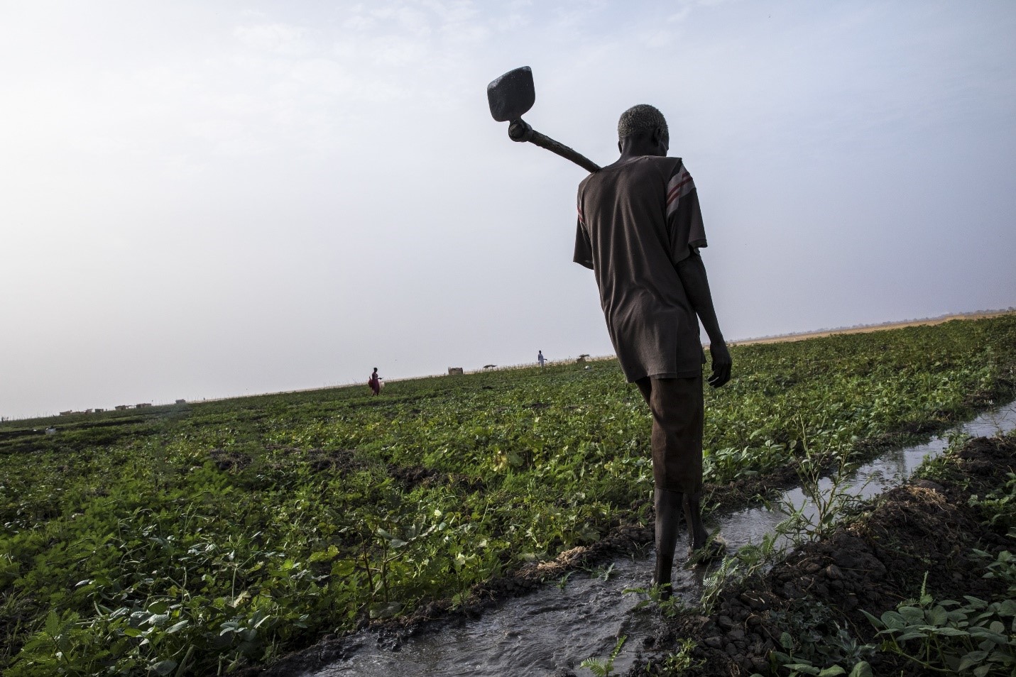 أحد صغار المزارعين يروي حقل الخضراوات الذي يمتلكه في ولاية بحر الغزال، جنوب السودان. صورة: برنامج الأغذية العالمي/جابرييل فيفاكوا