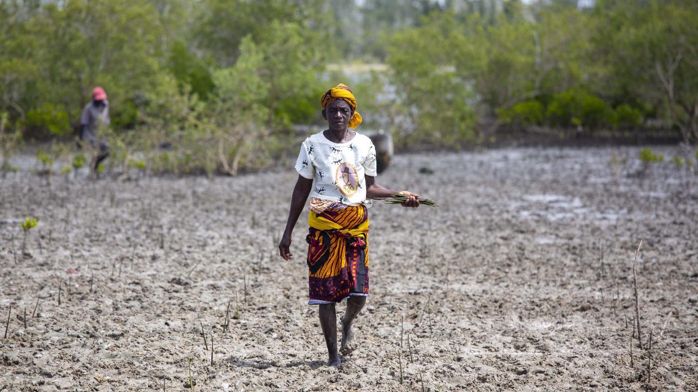 موزمبيق: تتولى الوكالة الأمريكية للتنمية الدولية تمويل المساعدات التي يقدمها برنامج الأغذية العالمي في موسم الجفاف. الصورة: الأمم المتحدة موزمبيق/كاريل برينسلو