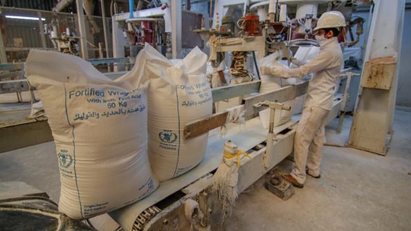 تعبئة دقيق القمح الطازج وتحميله في شاحنات. تصوير: برنامج الأغذية العالمي / محمود فاضل