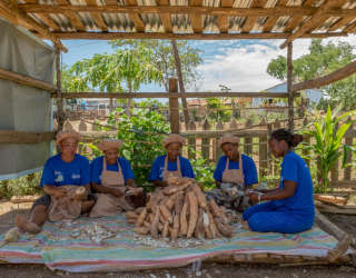 يسعى برنامج الشراء من أجل التقدم في مدغشقر إلى زيادة فرص المزارعين أصحاب الحيازات الصغيرة والوصول إلى الأسواق الزراعية. الصورة: برنامج الأغذية العالمي / جوليو دادامو