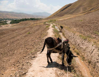 منظر طبيعي لقناة الوحدة في منطقة كالفجان بإقليم تخار بأفغانستان. الصورة: برنامج الأغذية العالمي / آريت / أندرو كويلتي