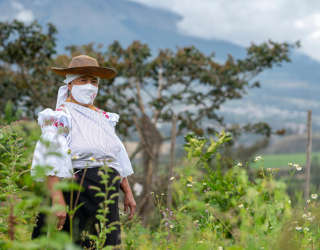 الإكوادور ، منطقة إيمانتاج الريفية ، مقاطعة إمبابورا. الصورة: برنامج الأغذية العالمي / آنا بيترون