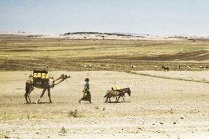 برنامج الأغذية العالمي يعزز تقديم الأطعمة المغذية للأطفال في المخيمات والمناطق المتضررة جراء الجفاف ويرسل المزيد من الإمدادات جواً إلى منطقة القرن الإفريقي