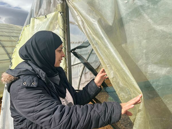 Rana’s greenhouse used to be filled with different kinds of vegetables. The climate crisis is forcing her to opt for crops that are resilient to water shortages. Photos: WFP/Edmond Khoury