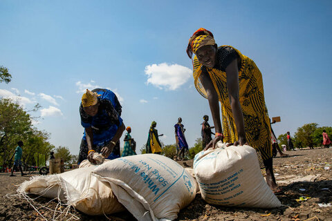 تقرير للأمم المتحدة بشأن بؤر الجوع الساخنة يحذر: 4 بلدان على وشك السقوط في براثن المجاعة  