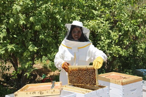 عائشة: فلسطينية تعمل في تربية النحل تتذوق طعم النجاح