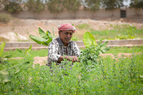 جهود برنامج الأغذية العالمي لمواجهة التغير المناخي تمنح الأمل لملايين الناس في الشرق الأوسط وشمال أفريقيا 