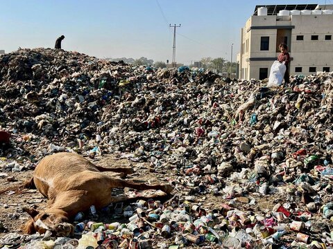 منازل مدمرة وأحلام محطمة: سكان غزة الجائعون ينهون عاماً كئيباً