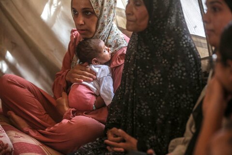 غزة بحاجة إلى وقف فوري لإطلاق النار وزيادة كبيرة في المساعدات الغذائية