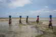 Women shells Mozambique. Gabriela Vivacqua