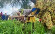 A group of people in colorful rows hoe a field. Photo: WFP/Sylvain Barral