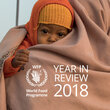الاستعراض السنوي لعام 2018