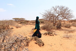 الصورة: © برنامج الأغذية العالمي/CRC/محمد عبد الرزاق علي. تضع موجة الجفاف التي تضرب الصومال الأسر والمجتمعات المحلية تحت ضغوط متزايدة. ويواصل برنامج الأغذية العالمي تقديم الدعم للمناطق الأكثر تضرراً، لكن دون تمويل عاجل، فإن هذا الشريان الحيوي للإنقاذ معرض للخطر.