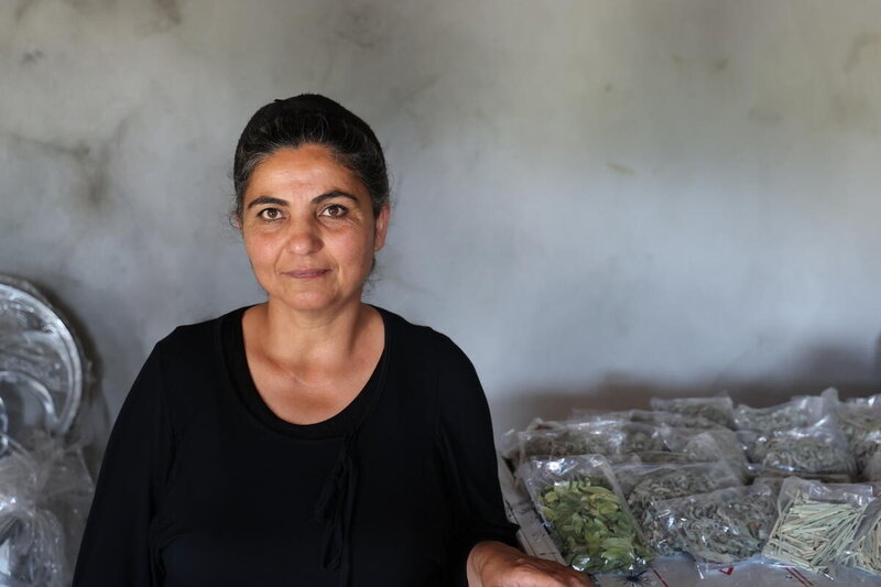Abeer Abeer has been a farmer in Tartous her whole life. Her business is helping to transport food from her garden to tables throughout her community.