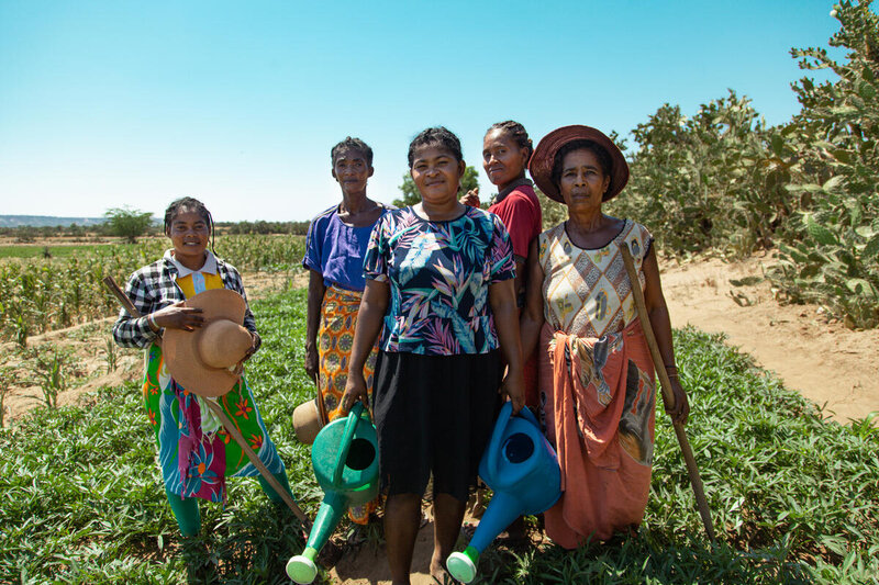 eanine and the women members of their cooperative on the sweet potato field, they are the owners of the neighbouring fields