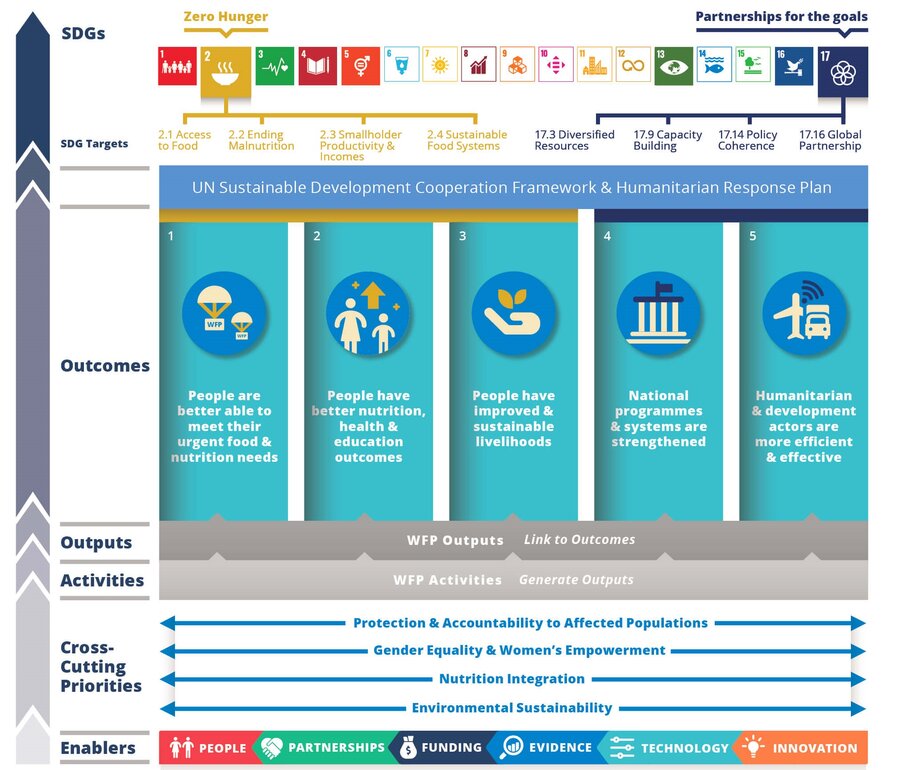 The strategic plan results framework