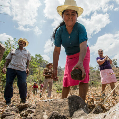 a group of people are working in the field