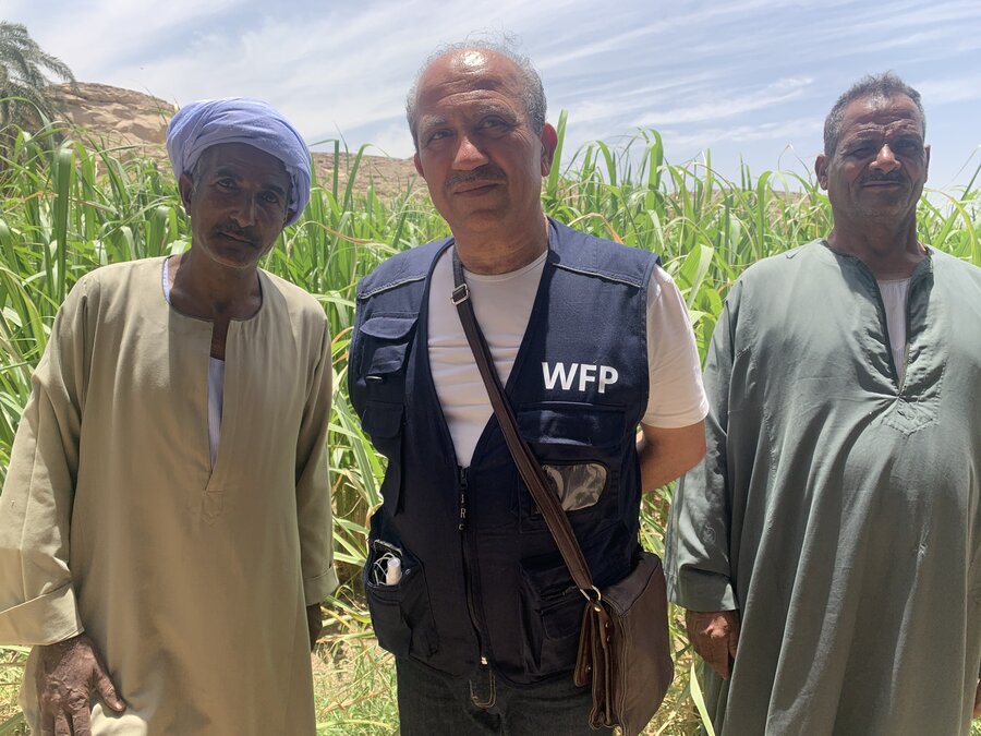 WFP programme officer Khaled Chatila with farmers in a sugarcane field in El Kajouj village near Aswan where WFP supports an irrigation project. Photo: WFP/Peyvand Khorsandi