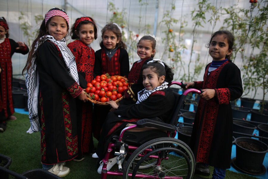 Little schoolgirls picking tomatoes from their school greenhouse. Part of WFP school interventions and nutrition proejcts.
