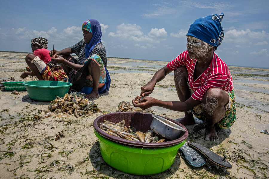 Salima Mucojo (R) and her colleagues remove shells of seafood they will sell on Ibo Island, Mozambique. Photo: WFP/Gabriela Vivacqua