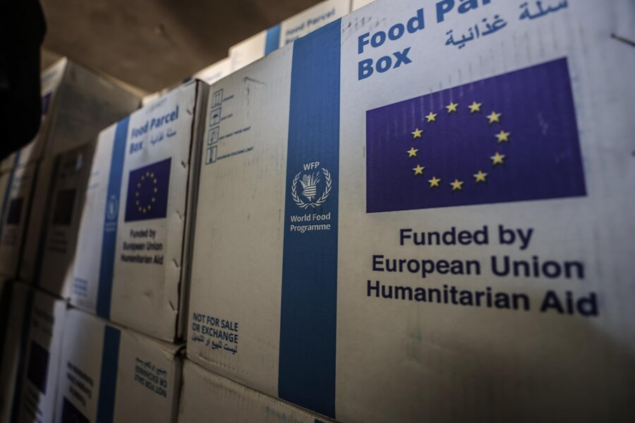 A food parcel supplied to WFP in Gaza thanks to ECHO. Photo: WFP/Ali Jadallah