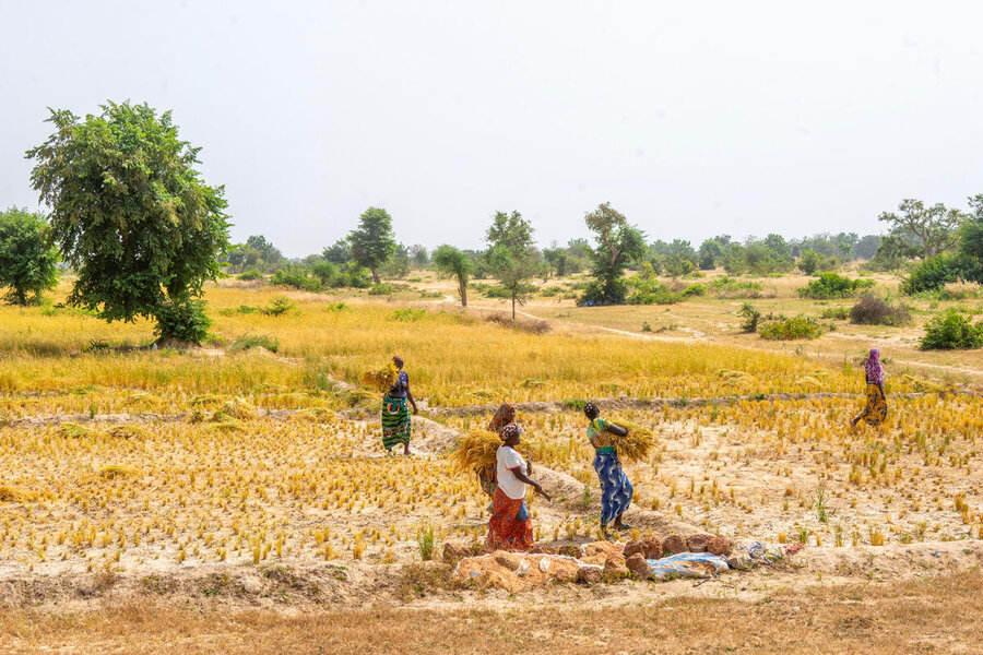 Rice growers at a WFP-supported resilience programme near Zorgho in Burkina Faso's Plateau Central Region