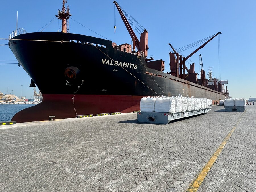 A massive carrier ship parked at Dubai's Jebel Ali Port with cargo waiting to be loaded. Photo: WFP/Marwa Awad