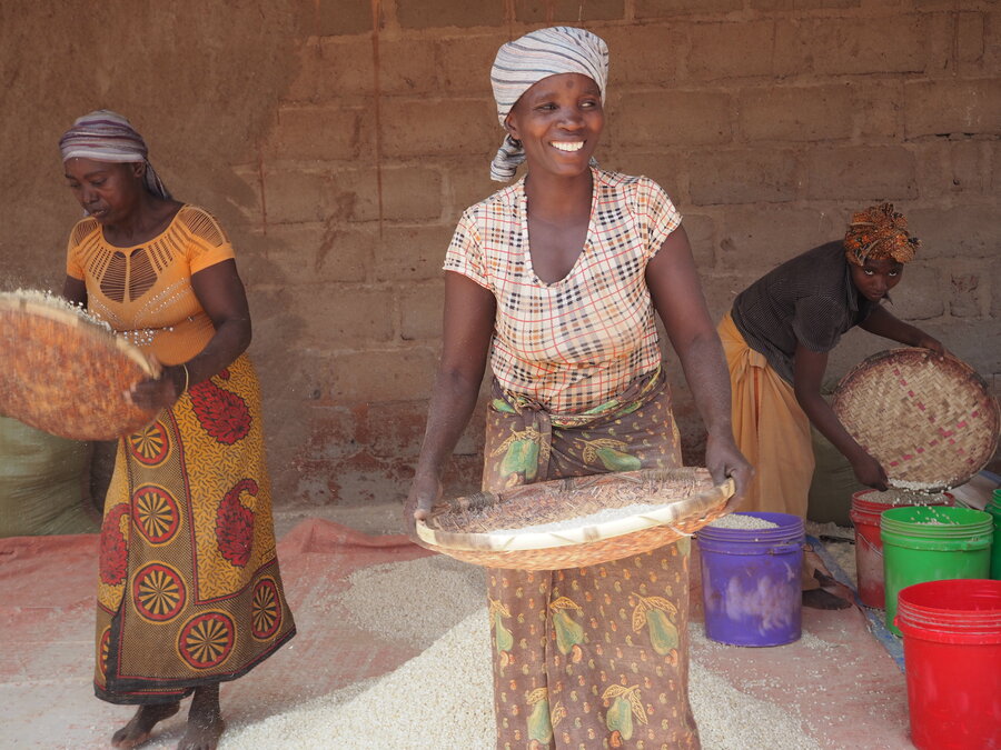 Three people sift grains through woven trays at a processing site, with buckets nearby as grain falls onto the ground beside a brick wall.