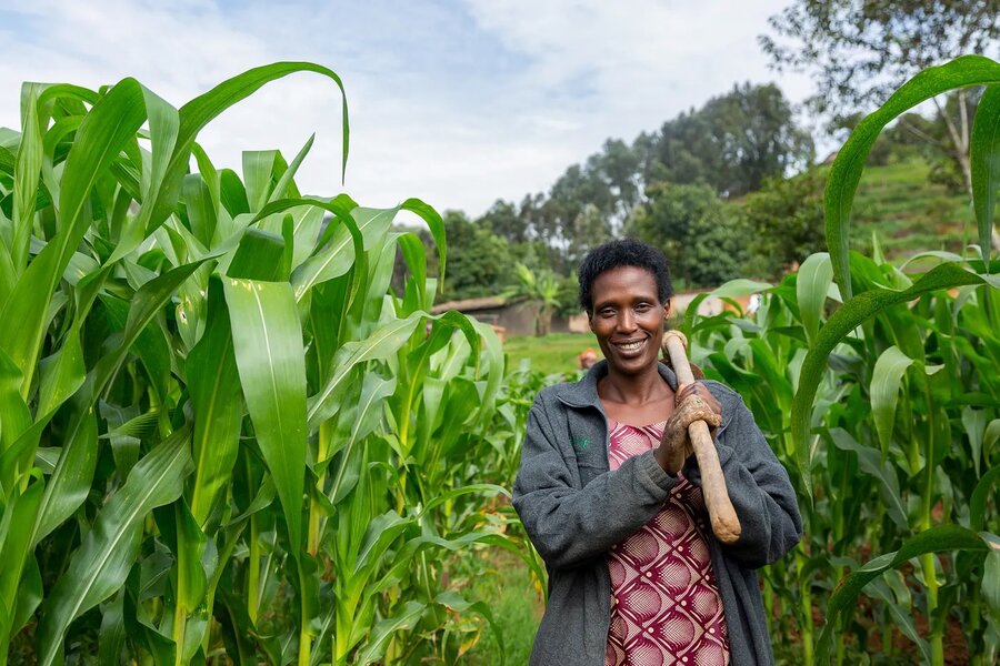 A woman carrying a hoe stands in front of a field of tall green crops, with trees in the background. Photo: WFP/Arete/Mussa Uwitonze Samuel 