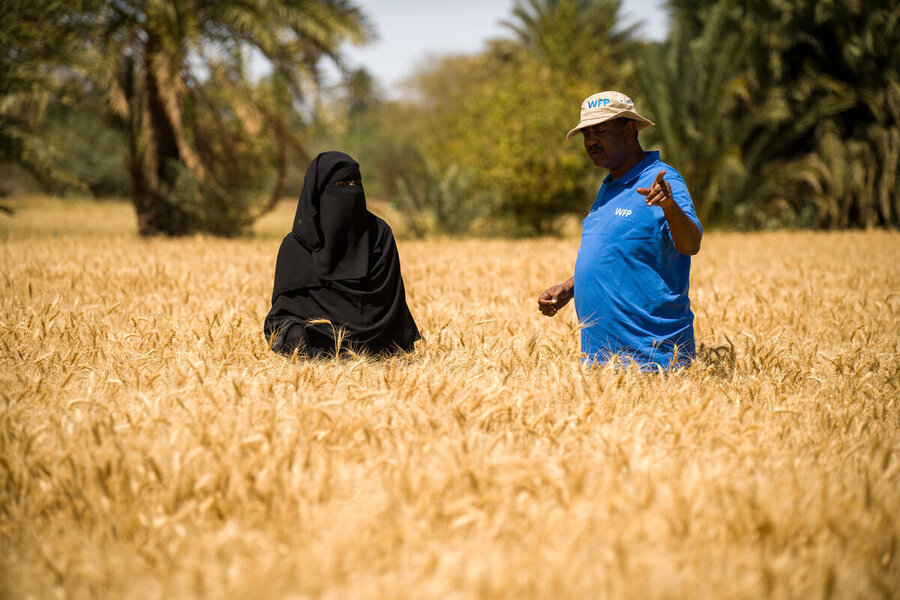 A woman farmer in a black niqab stands in a wheat field speaking to a WFP employee in a blue WFP T-shirt. Photo: WFP/Abubakar Garelnabei 