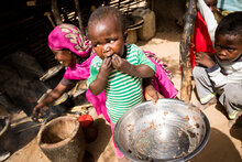 الصندوق الدولي للتنمية الزراعية (إيفاد) وبرنامج الأغذية العالمي يتعاونان لتعزيز الأمن الغذائي في السودان