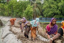 تقوم النساء المشاركات في برنامج النقد مقابل العمل التابع لبرنامج الأغذية العالمي بإصلاح سد طيني، والذي يعمل أيضًا كطريق وصول لحماية المحاصيل والماشية من المياه المالحة. وسيحصلون على 5000 تاكا بنغلاديشي لمدة عشرة أيام من العمل في بناء الطرق والسدود في مجتمعهم.