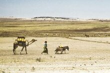 بيان صادر عن المدير التنفيذي لبرنامج الأغذية العالمي جوزيت شيران بشأن تأثير موجة الجفاف في القرن الأفريقي