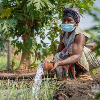 Woman watering her field. Photo: WFP/Badre Bahaji