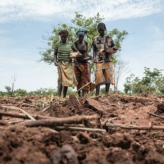 Three women planting seeds on their tilled farmland. Photo: WFP/Ricci Shryock